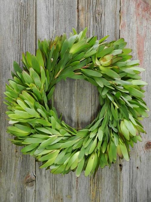 16 IN FRESH WINTER SUNSHINE LEUCADENDRON GREEN WREATH